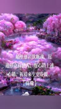 小艾比当营养师